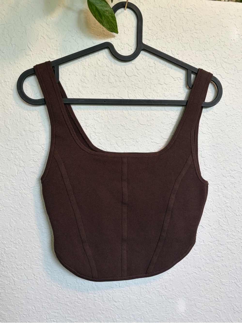 Aritzia Babaton Sculpt Knit Bustier Tank (Brown)